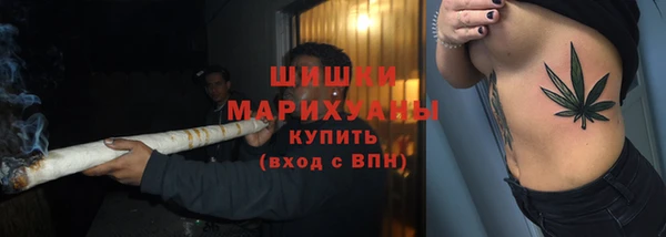 эйфоретик Новозыбков