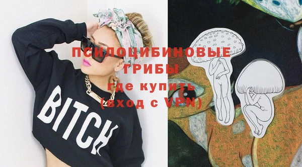 герыч Няндома