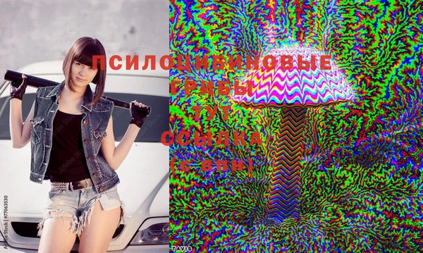 ешки Новокубанск