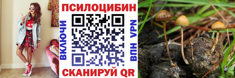 Галлюциногенные грибы мицелий  Орлов 